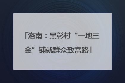 洛南：黑彰村“一地三金”铺就群众致富路
