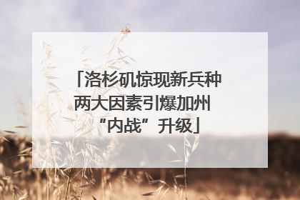 洛杉矶惊现新兵种 两大因素引爆加州“内战”升级