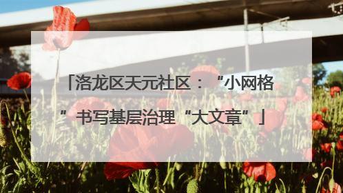 洛龙区天元社区：“小网格”书写基层治理“大文章”