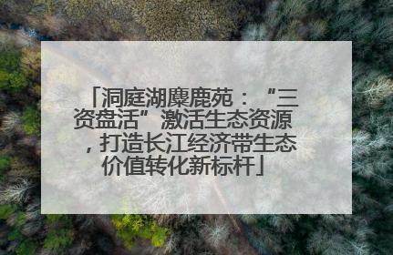 洞庭湖麋鹿苑：“三资盘活”激活生态资源，打造长江经济带生态价值转化新标杆