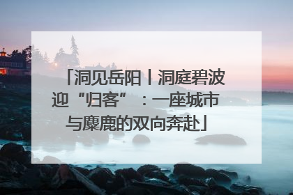 洞见岳阳丨洞庭碧波迎“归客”：一座城市与麋鹿的双向奔赴