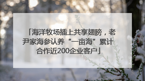 海洋牧场插上共享翅膀，老尹家海参认养“一亩海”累计合作近200企业客户
