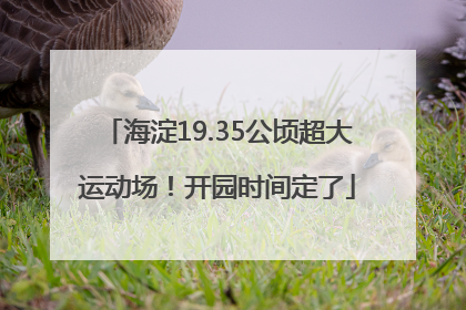海淀19.35公顷超大运动场！开园时间定了