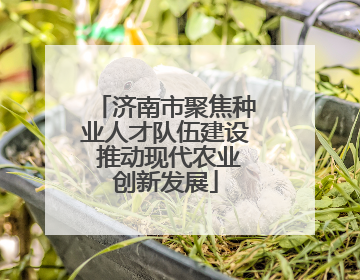 济南市聚焦种业人才队伍建设 推动现代农业创新发展