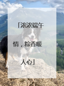 浓浓端午情，粽香暖人心
