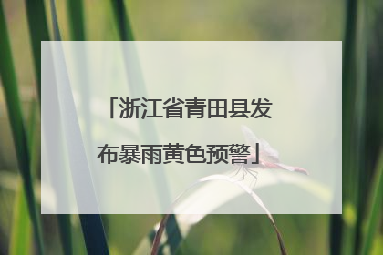 浙江省青田县发布暴雨黄色预警