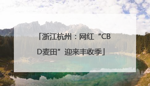 浙江杭州：网红“CBD麦田”迎来丰收季