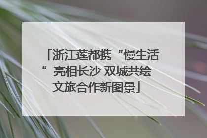 浙江莲都携“慢生活”亮相长沙 双城共绘文旅合作新图景