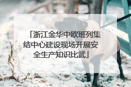 浙江金华中欧班列集结中心建设现场开展安全生产知识比武