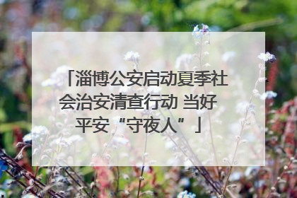 淄博公安启动夏季社会治安清查行动 当好平安“守夜人”