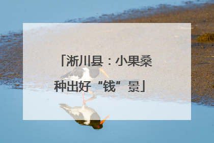 淅川县：小果桑种出好“钱”景