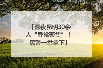 深夜昆明30余人“异常聚集”！民警一举拿下