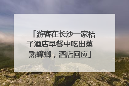 游客在长沙一家桔子酒店早餐中吃出蒸熟蟑螂，酒店回应