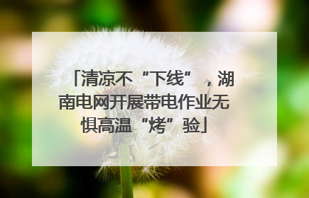 清凉不“下线”，湖南电网开展带电作业无惧高温“烤”验
