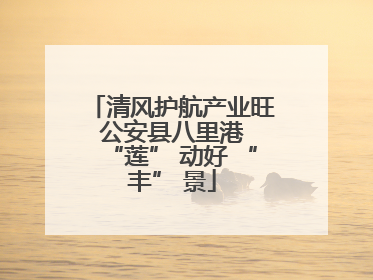 清风护航产业旺 公安县八里港 “莲” 动好 “丰” 景