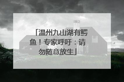 温州九山湖有鳄鱼！专家呼吁：请勿随意放生