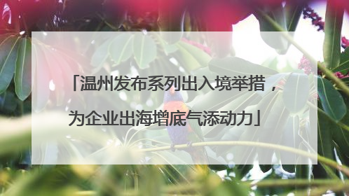 温州发布系列出入境举措，为企业出海增底气添动力