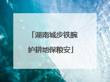 湖南城步铁腕护耕地保粮安