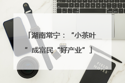 湖南常宁：“小茶叶”成富民“好产业”