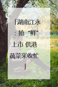 湖南江永：抢“鲜”上市 供港蔬菜采收忙
