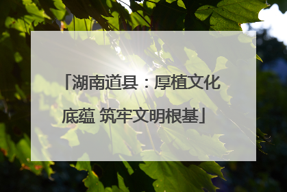 湖南道县：厚植文化底蕴 筑牢文明根基