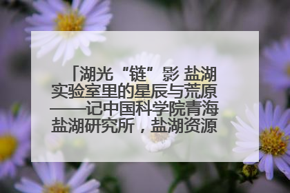 湖光“链”影 盐湖实验室里的星辰与荒原——记中国科学院青海盐湖研究所，盐湖资源化学实验室党总支书记、副主任刘忠