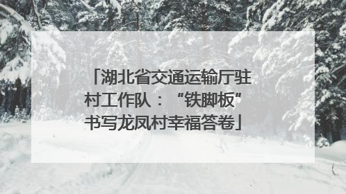 湖北省交通运输厅驻村工作队：“铁脚板”书写龙凤村幸福答卷