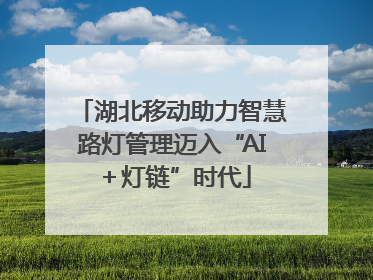 湖北移动助力智慧路灯管理迈入“AI＋灯链”时代