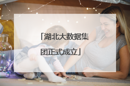 湖北大数据集团正式成立