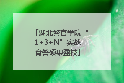 湖北警官学院“1+3+N”实战育警硕果盈枝