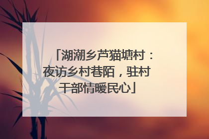 湖潮乡芦猫塘村：夜访乡村巷陌，驻村干部情暖民心