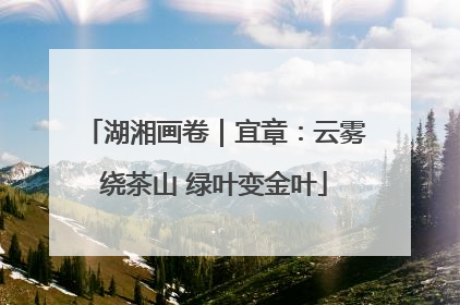 湖湘画卷｜宜章：云雾绕茶山 绿叶变金叶