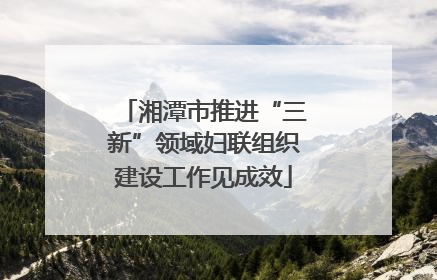 湘潭市推进“三新”领域妇联组织建设工作见成效