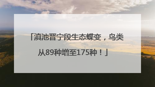 滇池晋宁段生态蝶变，鸟类从89种增至175种！