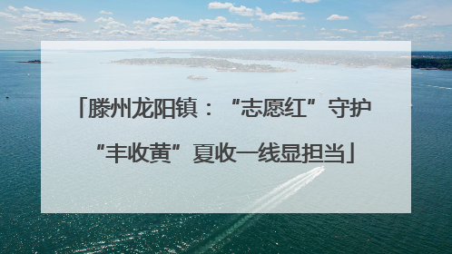滕州龙阳镇：“志愿红”守护“丰收黄”夏收一线显担当