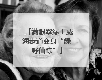 满眼翠绿！威海步道变身“绿野仙踪”