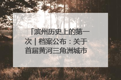 滨州历史上的第一次｜档案公布：关于首届黄河三角洲城市经济博览会暨发展论坛情况的总结报告