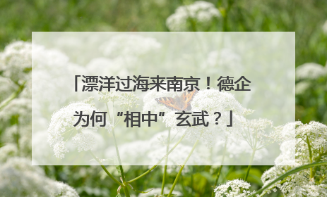 漂洋过海来南京！德企为何“相中”玄武？