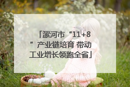 漯河市“11+8”产业链培育 带动工业增长领跑全省
