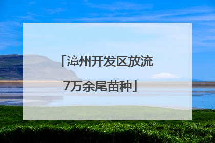 漳州开发区放流7万余尾苗种