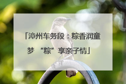 漳州车务段：粽香润童梦 “粽”享亲子情