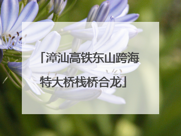 漳汕高铁东山跨海特大桥栈桥合龙