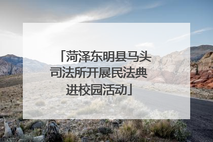菏泽东明县马头司法所开展民法典进校园活动