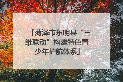 菏泽市东明县“三维联动”构建特色青少年护航体系