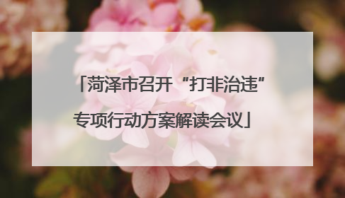 菏泽市召开“打非治违”专项行动方案解读会议