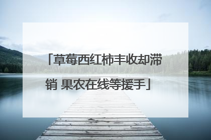 草莓西红柿丰收却滞销 果农在线等援手