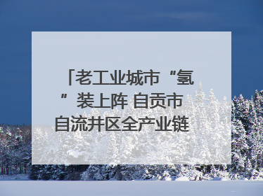 老工业城市“氢”装上阵 自贡市自流井区全产业链冲刺氢能装备制造新高地｜美好生活有“盐”味