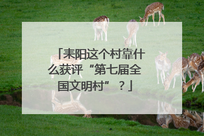 耒阳这个村靠什么获评“第七届全国文明村”？