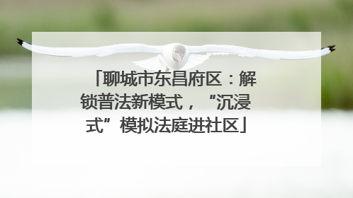 聊城市东昌府区：解锁普法新模式，“沉浸式”模拟法庭进社区