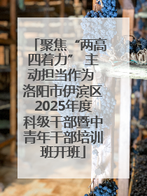 聚焦“两高四着力” 主动担当作为 洛阳市伊滨区2025年度科级干部暨中青年干部培训班开班